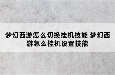 梦幻西游怎么切换挂机技能 梦幻西游怎么挂机设置技能